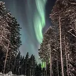 Noel Arctic Circle רובניימי