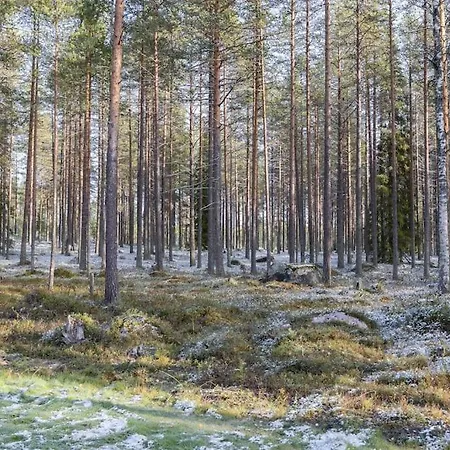 Villa Noel Arctic Circle