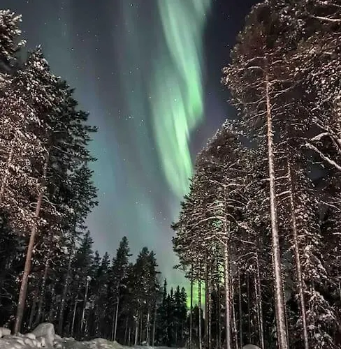 Noel Arctic Circle 罗瓦涅米