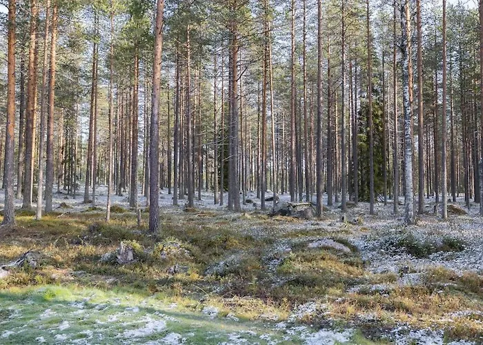 别墅 Noel Arctic Circle